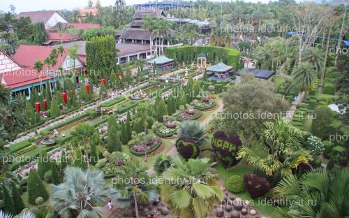 Декоративный сад пейзажи Таиланд 6