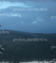 Зимний лес пейзаж горнолыжка Белорецк