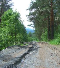Виды по лесной дороге на гору Арвяк 2