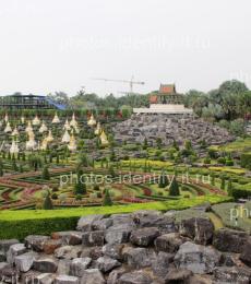 Декоративный сад пейзажи Таиланд 15