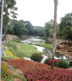 Декоративный сад пейзажи Таиланд 2