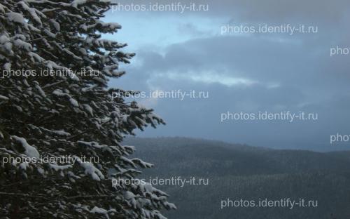 Зимний лес пейзаж горнолыжка Белорецк 2