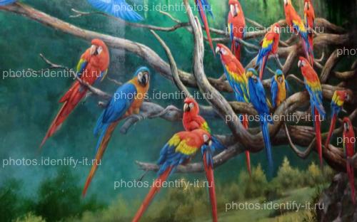Попугаи музей 3D Таиланд