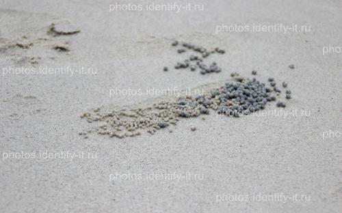 Узоры на серо-белом песке Таиланд