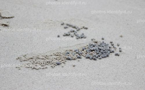 Узоры на серо-белом песке Таиланд 2