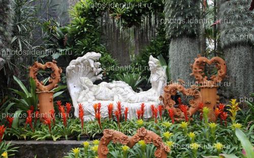 Декоративный сад цветы Таиланд 7