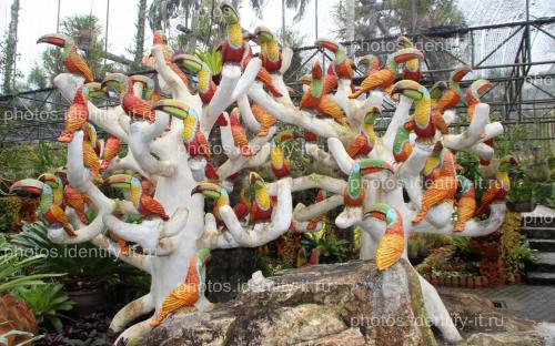 Декоративный сад Таиланд