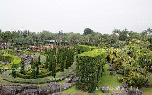 Декоративный сад пейзажи Таиланд 10