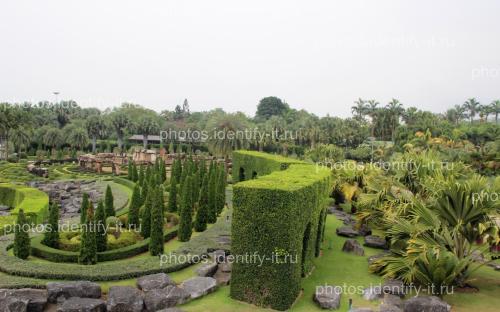 Декоративный сад пейзажи Таиланд 11