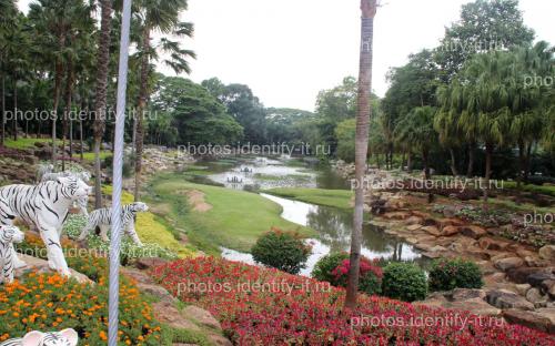 Декоративный сад пейзажи Таиланд 2