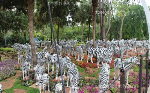 Декоративный сад пейзажи Таиланд