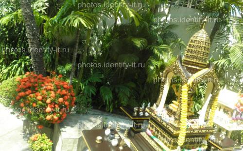 Декоративный сад пейзажи Таиланд 5