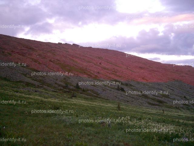 Вершина  горы Иремель подсвеченная красным на закате