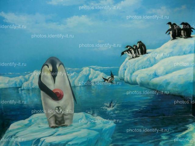 Пингвин музей 3D Таиланд
