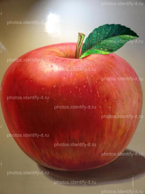 Красное яблоко музей 3D Таиланд