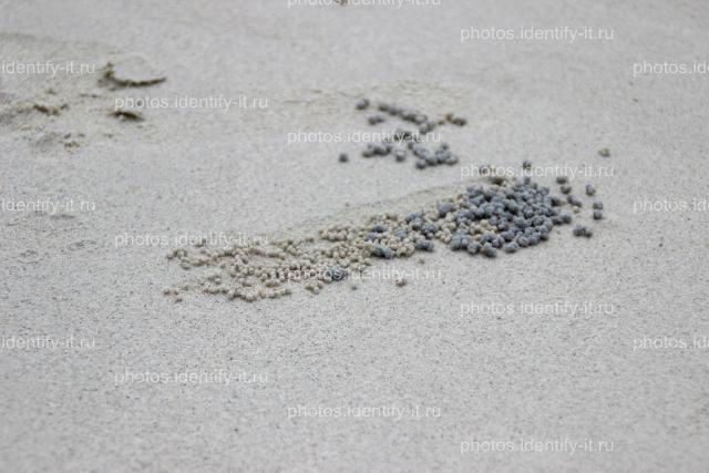 Узоры на серо-белом песке Таиланд