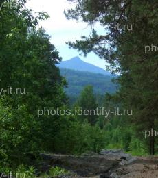Виды по лесной дороге на гору Арвяк 