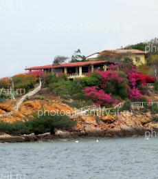 Дом у океана в цветах Таиланд 4