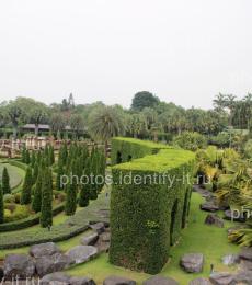 Декоративный сад пейзажи Таиланд 11