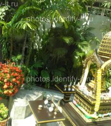 Декоративный сад пейзажи Таиланд 5