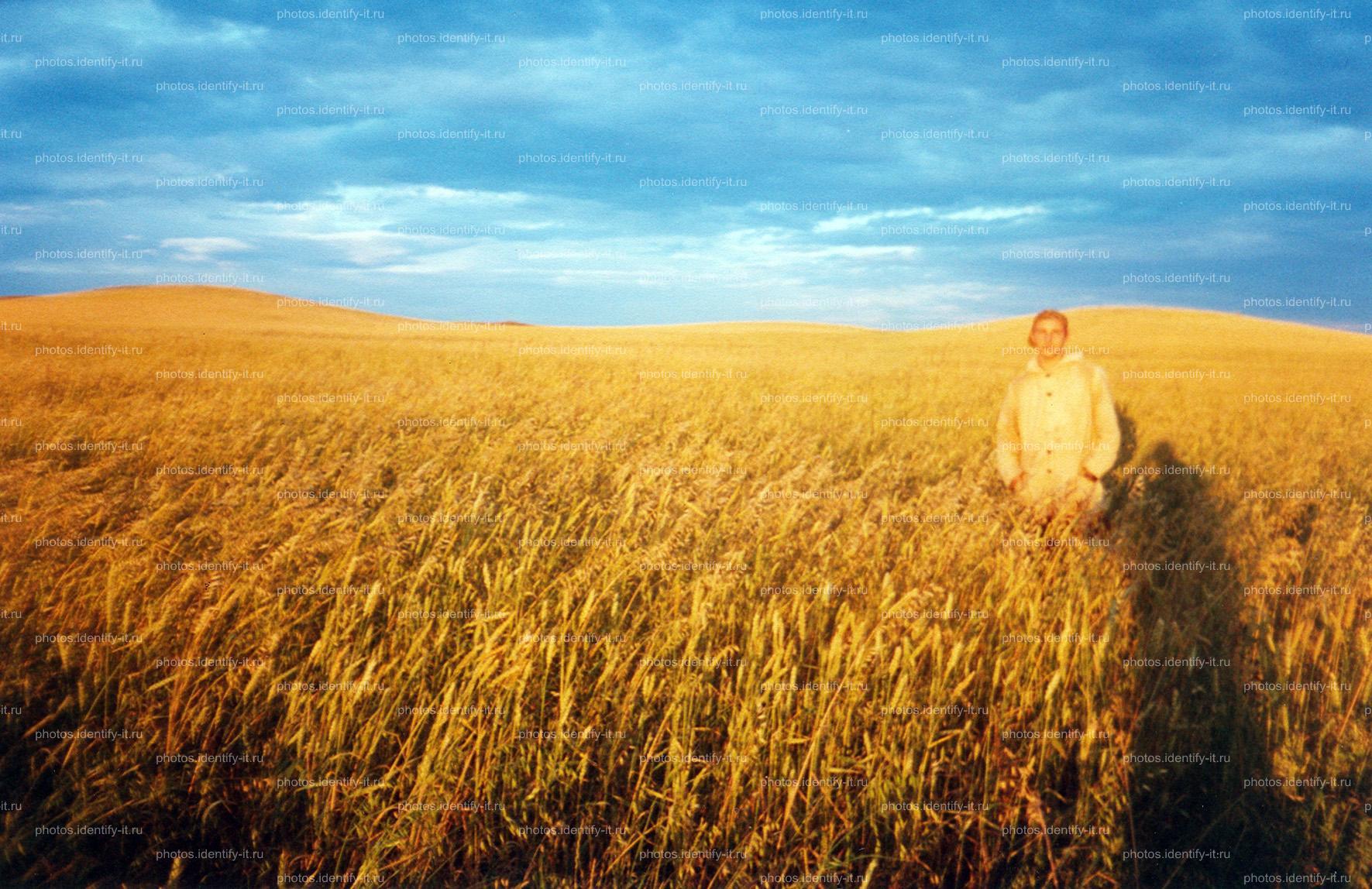 Казаки в поле пшеницы